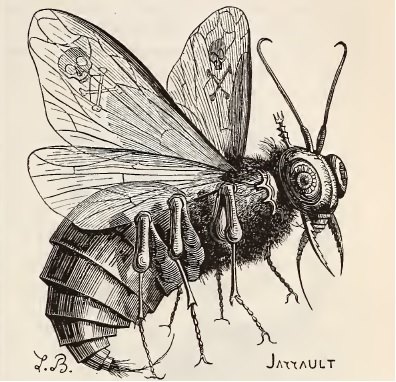 Beelzebuth